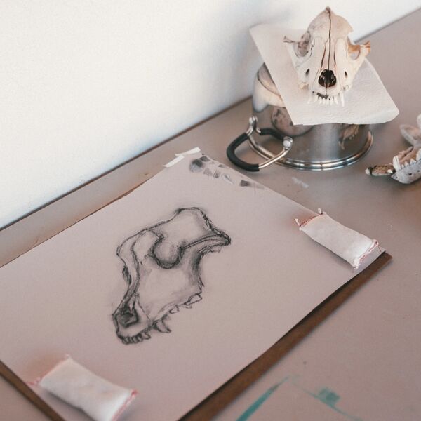 Drawing from Nature & Culture: Stones, Bones, Pods & Pots