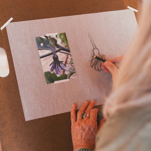 Drawing from Nature & Culture: Stones, Bones, Pods & Pots