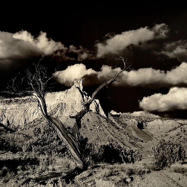 Black & White Darkroom Photography