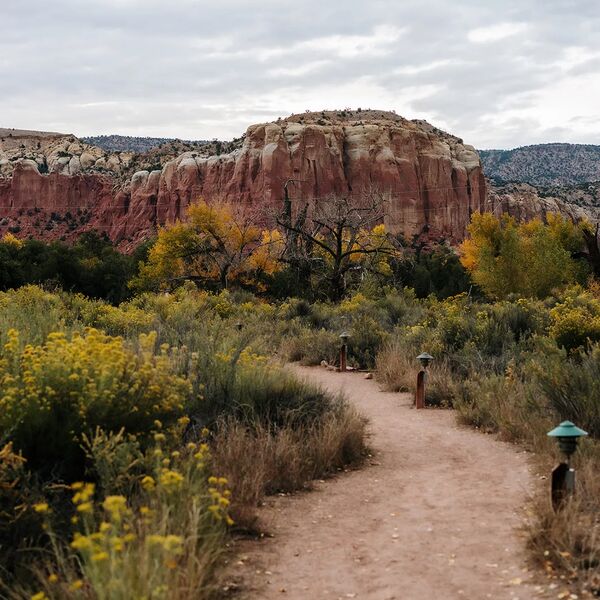 Navigating Paths of Transition
